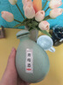 黃金法則果酒微醺甜酒女士低度酒鮮果發(fā)酵網(wǎng)紅酒古風(fēng)壇裝冬釀酒送禮雞尾酒 青梅酒300ml*1瓶 曬單實拍圖