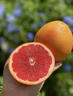 南步臺灣紅寶石西柚 紅心葡萄柚酸甜紅肉西柚奶茶店榨汁新鮮孕婦水果 紅心西柚 5斤【約6-12個(gè)】 曬單實(shí)拍圖