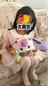 ZURU云波抱抱星球zuru獨角獸魔法蛋皇冠公主精靈盲蛋盒女孩玩具禮物 【 獨角獸公主】皇冠公主精靈 曬單實拍圖