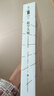 數(shù)學(xué)大師 從芝諾到龐加萊 （珍藏版） 曬單實(shí)拍圖
