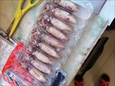 全籽籽烏帶籽海兔子滿籽烏魚(yú)筆管魚(yú)墨魚(yú)魷魚(yú)八爪魚(yú)斗魚(yú)冷凍 大籽烏（50只）5盒 2500g(凈重) 曬單實(shí)拍圖