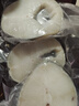 超樸生鮮【真銀鱈魚(yú)-高品質(zhì)精選】法國深海銀鱈魚(yú) 原裝整條南極犬牙魚(yú)寶寶 2500g 整條 SAPMER原裝 曬單實(shí)拍圖