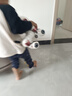 班迪萌兒童智能AI機器貓玩具1-3歲益智編程機器人機器狗男女孩生日禮物 編程早教機器貓【語(yǔ)音+手勢】粉 新生兒見(jiàn)面禮實(shí)用高檔周歲禮物 曬單實(shí)拍圖