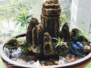 森森（SUNSUN）魚(yú)缸過(guò)濾器水小型草缸濾筒外置大型魚(yú)缸過(guò)濾桶凈水靜音循環(huán)EW-603 EW-603單桶+JGP-1000L+棉 曬單實(shí)拍圖