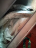 鮮源瀾灣 舟山小眼帶魚 舟山油帶魚 釣帶 海捕帶魚特級(jí)帶魚生鮮 生鮮魚類 小眼油帶魚3斤(3-5條) 曬單實(shí)拍圖