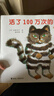 當當正版童書(shū) 活了100萬(wàn)次的貓·愛(ài)與生命教育圖畫(huà)書(shū)大禮盒（共8冊新版） 活了100萬(wàn)次的貓（珍藏版 ） 曬單實(shí)拍圖