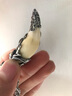 飛鵝狼牙項鏈 男女款銀吊墜 鑲嵌925手工包銀 真藏獒牙情侶生日禮物包 23騎龍關公 曬單實拍圖