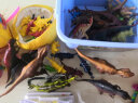 糖米儿童恐龙玩具仿真野生动物早教认知侏罗纪霸王龙3-6岁生日礼物 实拍图