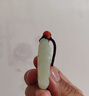 可玉可求直播選貨 和田玉貔貅吊墜 男士青玉圓牌元寶貔貅玉墜 玉石玉佩 淺色抱球貔貅牌 M7076 曬單實(shí)拍圖