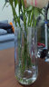 吕姆克花瓶摆件玻璃插花瓶雪柳银柳餐桌装饰新房布置摆件高25CM灰色6972 实拍图