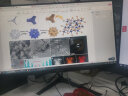 凯利科（KLKE） 电竞刷新率电脑显示器超薄微边框高清hdmi游戏办公设计家用广视角IPS 【22直面+微边+100hz】 实拍图