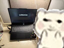 聯(lián)想拯救者Y7000P 2025 游戲筆記本電腦(i7-14650HX 16G 1T RTX5060 2.5K 240Hz 黑)國家補(bǔ)貼20% 曬單實(shí)拍圖