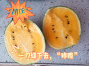 【JD物流】海南特小鳳黃心西瓜黃色黃壤黃瓤黃肉新鮮水果薄皮生鮮團(tuán)購(gòu)送禮 1個(gè)裝 曬單實(shí)拍圖