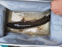 達億瓦（DAIWA）蜘蛛 TATULA 泛用輪 遠投輪 路亞輪水滴輪釣魚(yú)輪魚(yú)線(xiàn)輪 17 海蜘蛛 200HS/L-7.3速比（雷強打黑 右手型 曬單實(shí)拍圖
