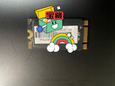 聯(lián)想（Lenovo）固態(tài)硬盤 家用固態(tài)硬盤 高速存儲盤 大容量硬盤備份通用 ST900 2242 NGFF SATA協(xié)議 512G 曬單實拍圖