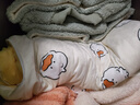 G. DUCKKIDS小黃鴨防寒嬰兒睡袋寶寶春秋冬季嬰幼兒童冬款防踢被神器加厚連體 【拆袖加棉豆豆絨】小黃鴨 XL碼1-3歲身高80-105cm 曬單實拍圖