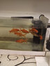 森森（SUNSUN）JP系列內置過(guò)濾器魚(yú)缸水泵循環(huán)抽水泵三合一水族箱增氧烏龜過(guò)濾 JP-012F  3W 曬單實(shí)拍圖