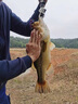 TRESZ路亞餌假餌JIG胡須佬硅膠絲擋草鉛頭鉤5g14g防掛底鉤釣組鱸魚鱖魚 【03#】紫色 5克 2/0 曬單實(shí)拍圖