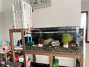 尼奧光尼奧神燈 尼奧雷龍燈魚缸燈日光燈增色增艷防水潛水燈 尼奧ST1120  112cm【38w】發(fā)順豐 曬單實拍圖