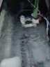 老漁匠魚(yú)缸wifi智能插排手機(jī)智能控制定時(shí)器開(kāi)關(guān)插座水族箱專(zhuān)用插排 手機(jī)控制WIFI智能定時(shí)插排 曬單實(shí)拍圖