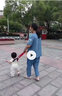 寶寶學(xué)步帶嬰兒防走失帶牽引繩兒童防丟繩學(xué)走路兩用夏季透氣防勒 透氣款（藍(lán)配紅） 曬單實(shí)拍圖