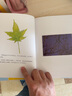 一片葉子落下來(lái)繪本 任溶溶翻譯正版 南海出版社繪本 3-6歲兒童圖書(shū)精裝硬殼繪本故事 任溶溶系列書(shū)籍 兒童啟蒙繪本故事書(shū)6-7歲 曬單實(shí)拍圖