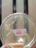 比克曼生物 營(yíng)養瓊脂平板 LB 血瓊脂 沙保羅氏 TCBS SS R2A TSA培養基 即用型平板 實(shí)驗室專(zhuān)用 TSA平板9cm 10個(gè)/包【三層無(wú)菌包裝】 曬單實(shí)拍圖