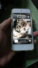 DY IPOD touch5和touch6 touch7鋼化膜防爆高清護眼保護膜 高清護眼鋼化膜1張 曬單實(shí)拍圖