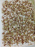 西蘭花種子無土水培芽苗菜花椰菜種籽孑蔬菜四季西藍(lán)花苗 西蘭花牙苗菜種子100克 曬單實(shí)拍圖