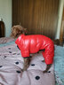 ISPET狗狗四腳羽絨服柴犬泰迪衣服秋冬裝中小型犬加厚保暖安德烈 粉色-四腳 M （合適4-6斤） 曬單實(shí)拍圖
