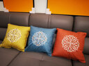 居八佰 新中式輕奢刺繡抱枕床頭大靠墊正方形腰枕客廳沙發(fā)靠枕套不含芯 姜黃（繡球花刺繡） 45*45cm抱枕套+枕芯 曬單實(shí)拍圖