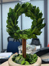 馨顏植室內(nèi)黃楊綠植盆栽辦公室盆景客廳臥室擺設(shè)桌面盆栽好養(yǎng)家居擺件 【新家送禮】蝴蝶結(jié)*陶土盆25*12CM 帶盆栽好 曬單實(shí)拍圖