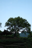 富士（FUJIFILM） XF23mm F2 R WR 標準定焦鏡頭 經(jīng)典人文街拍 銀色 官方標配 曬單實(shí)拍圖