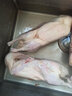 愷蒂鮮 【2只】農村散養活鴨子肉土鴨整只鴨子新鮮鴨頭鴨血 農家鴨子2只 曬單實(shí)拍圖