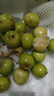 夢(mèng)茜兒 MEXEMINA現貨 蘋(píng)果棗版納 新鮮5斤云南現摘純甜大牛奶青棗貴妃整箱時(shí)令 5斤 大果【70g以上】青棗 曬單實(shí)拍圖
