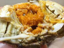 【活蟹】軒農(nóng)谷六月黃鮮活大閘蟹禮品螃蟹禮盒海鮮水產(chǎn)新鮮活湖蟹 2.3-2.6兩/只【10只禮盒裝】 曬單實拍圖