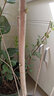 丁香花樹(shù)苗嫁接高桿丁香樹(shù)苗耐寒耐旱庭院花卉植物室外綠化苗木景觀(guān)風(fēng)景樹(shù)盆栽陽(yáng)臺 四季丁香 3年苗【叢生】 曬單實(shí)拍圖