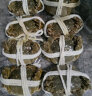 【活蟹】蟹爵大闸蟹六月黄1.8-2.1两12只 鲜活螃蟹现货生鲜水产 实拍图