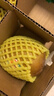 佳沛（zespri）新西蘭  陽(yáng)光金果16粒經(jīng)典果單果 77-103g 中秋水果禮盒 獼猴桃 曬單實(shí)拍圖
