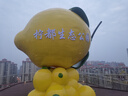檸蔬原安岳優(yōu)質(zhì)黃檸檬 新鮮檸檬 新鮮水果精選優(yōu)質(zhì)一二級果 大果160g起 5斤裝 曬單實拍圖