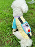 MIKI PAD狗狗衣服小型犬透氣春秋款薄款T恤泰迪比熊雪納瑞貓衣服可牽引 撞色T恤【帶牽引環(huán)】 S胸圍37cm（參考體重3-5斤） 曬單實(shí)拍圖