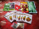 壽禾 東北姑娘果燈籠果種子洋菇娘黃金莓盆栽蔬菜陽(yáng)臺(tái)盆栽秋冬季種籽 紅菇娘種子 1g裝（約200粒） 曬單實(shí)拍圖