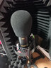 797audio 北京797AUDIO M3 M5 錄音翻唱主播配音電容大振膜專(zhuān)業(yè)麥克風(fēng)話(huà)筒 M5 曬單實(shí)拍圖