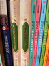 葉圣陶兒童文學(xué)全集專集 稻草人書葉圣陶童話正版兒童讀物8-9-12-15周歲少兒圖書故事小說讀本四五六年級小學(xué)生課外 曬單實拍圖