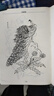 中國畫(huà)白描描摹本 工筆畫(huà)白描底稿臨摹畫(huà)冊 山水花鳥(niǎo)線(xiàn)稿描摹練習冊 國畫(huà)初學(xué)者入門(mén)套裝 工筆畫(huà)白描線(xiàn)稿本 千里江山宋代花鳥(niǎo)宋清花鳥(niǎo)工筆人物 宋清花鳥(niǎo)白描底稿-60幅 曬單實(shí)拍圖