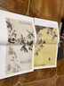 徐渭書(shū)畫(huà)集 中國書(shū)畫(huà)名家全集 徐渭書(shū)法繪畫(huà)作品集 水墨畫(huà) 寫(xiě)意畫(huà) 花卉畫(huà)作品集 曬單實(shí)拍圖