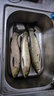 千絲坊魚(yú)鉤大物鉤歪嘴青魚(yú)鉤伊勢尼巨物魚(yú)鉤鱘魚(yú)鉤散裝超大號海釣魚(yú)鉤 大物魚(yú)鉤有倒刺【20枚裝】 8號 曬單實(shí)拍圖