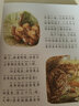蝸牛故事繪：彼得兔的故事（有聲版）  曬單實(shí)拍圖