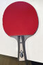 Palio拍里奥套胶皮 蓝海绵CJ8000轻快型专业版乒乓球拍胶皮反胶 红色36-38度 实拍图