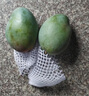 元珍鮮誠廣西大青芒果時(shí)令生鮮當季送禮整箱水果特級大果熱帶水果 凈重4.5斤裝（單果200g） 曬單實(shí)拍圖